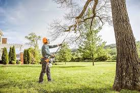  Clemmons, NC Tree Removal Pros